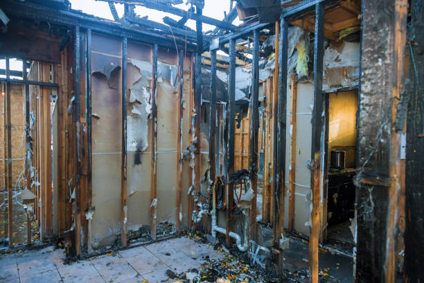 Professional Emergency Fire Cleanup technician working in Oldsmar, FL